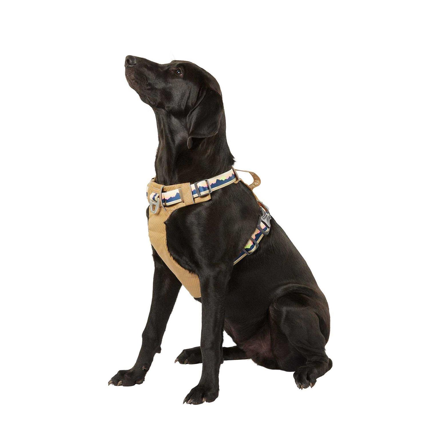 Arcadia Trail Lightweight Dog Harness - Pet Supplies online store