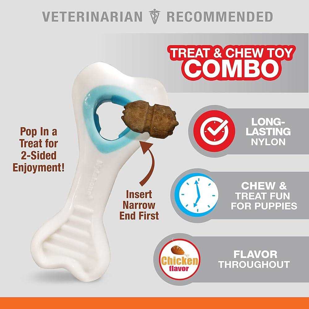 Nylabone Power Chew Knuckle Bone & Pop-In Treat Combo Chicken Toy - Pet Supplies online store