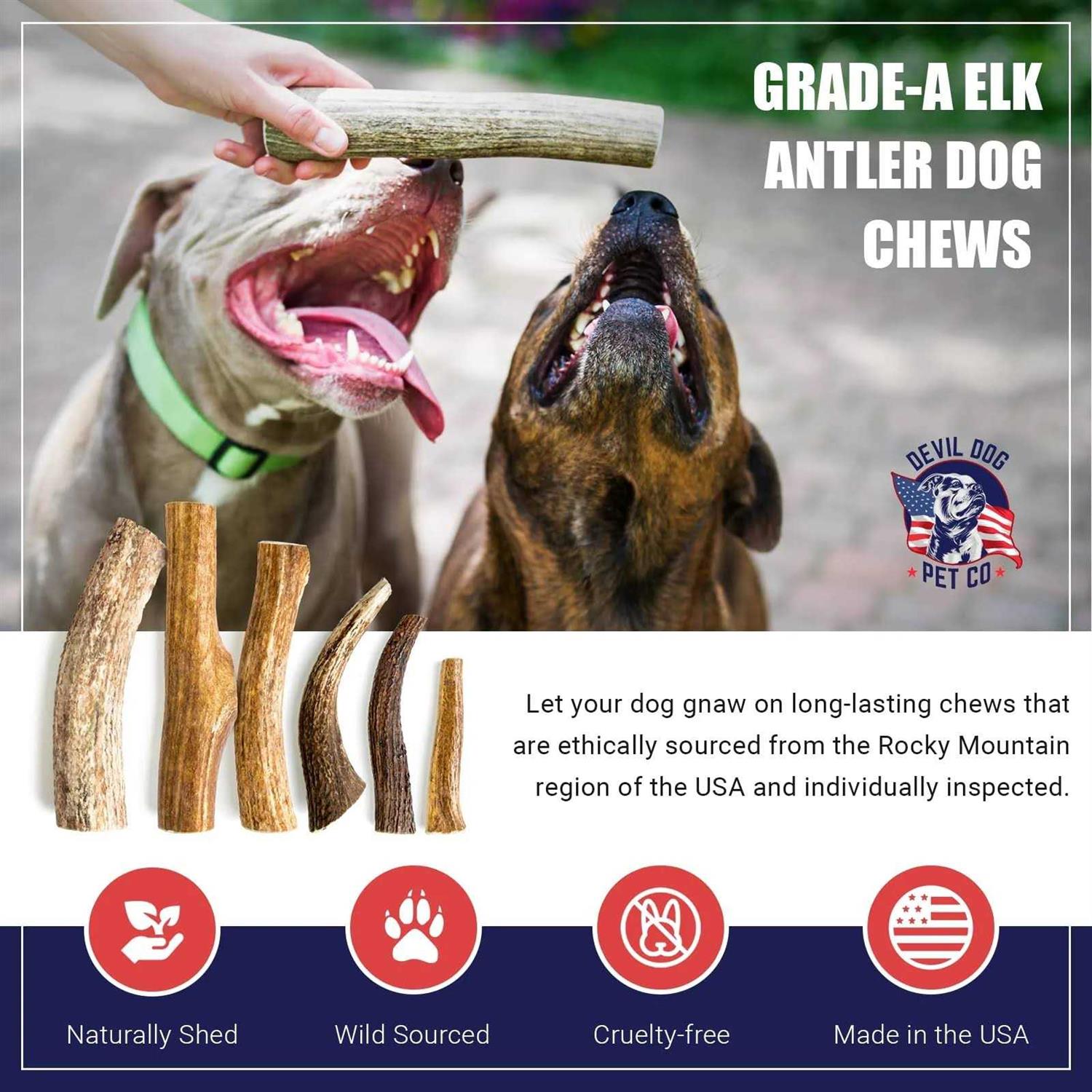 Devil Dog Pet Co Antler Dog Chew Premium Elk Antlers for Dogs Long Lasting Dog Bones for Aggressive Chewers - Pet Supplies online store