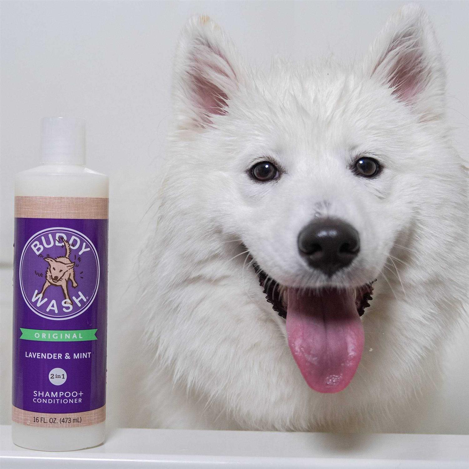 Cloud Star Buddy Wash Lavender & Mint Dog Shampoo & Conditioner - Pet Supplies online store