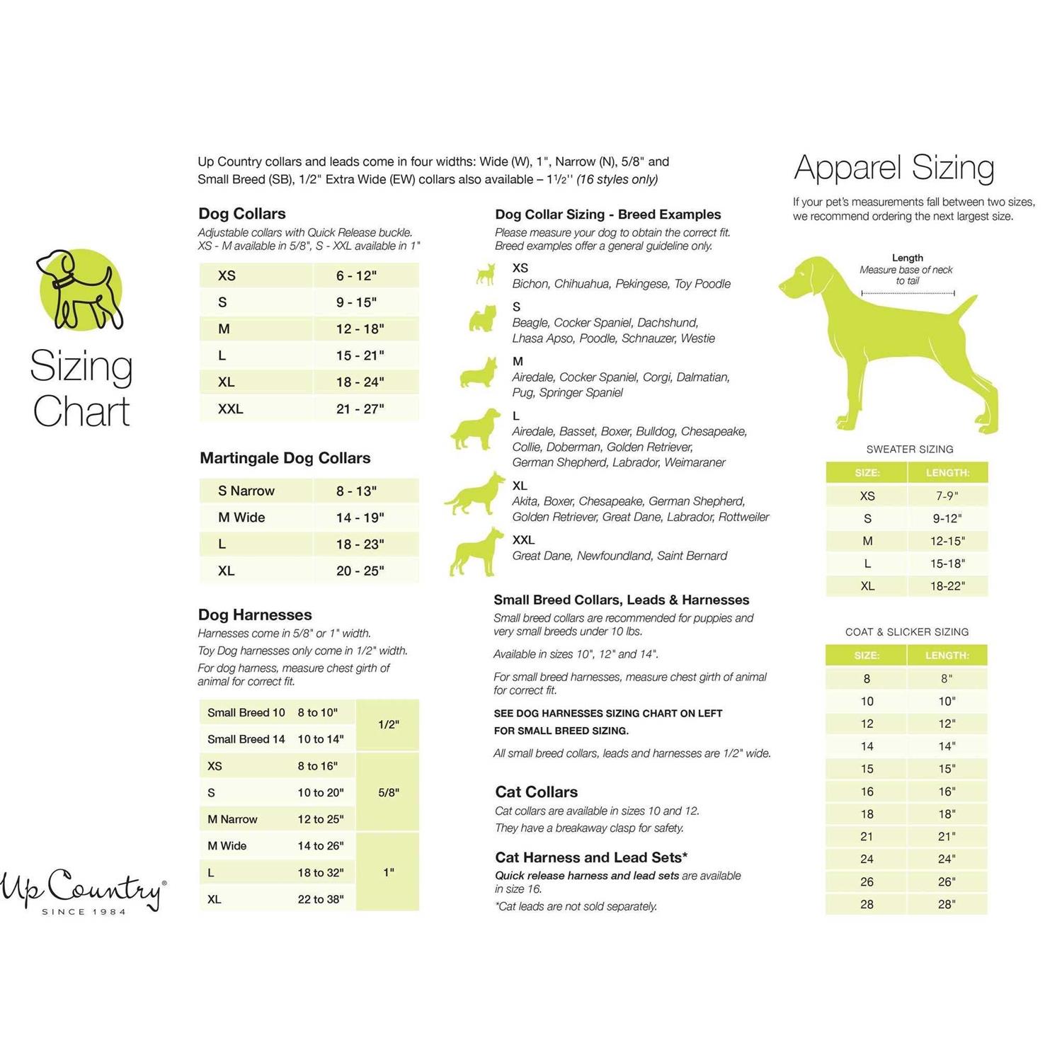 Up Country Daisy Dog Collar - Pet Supplies online store