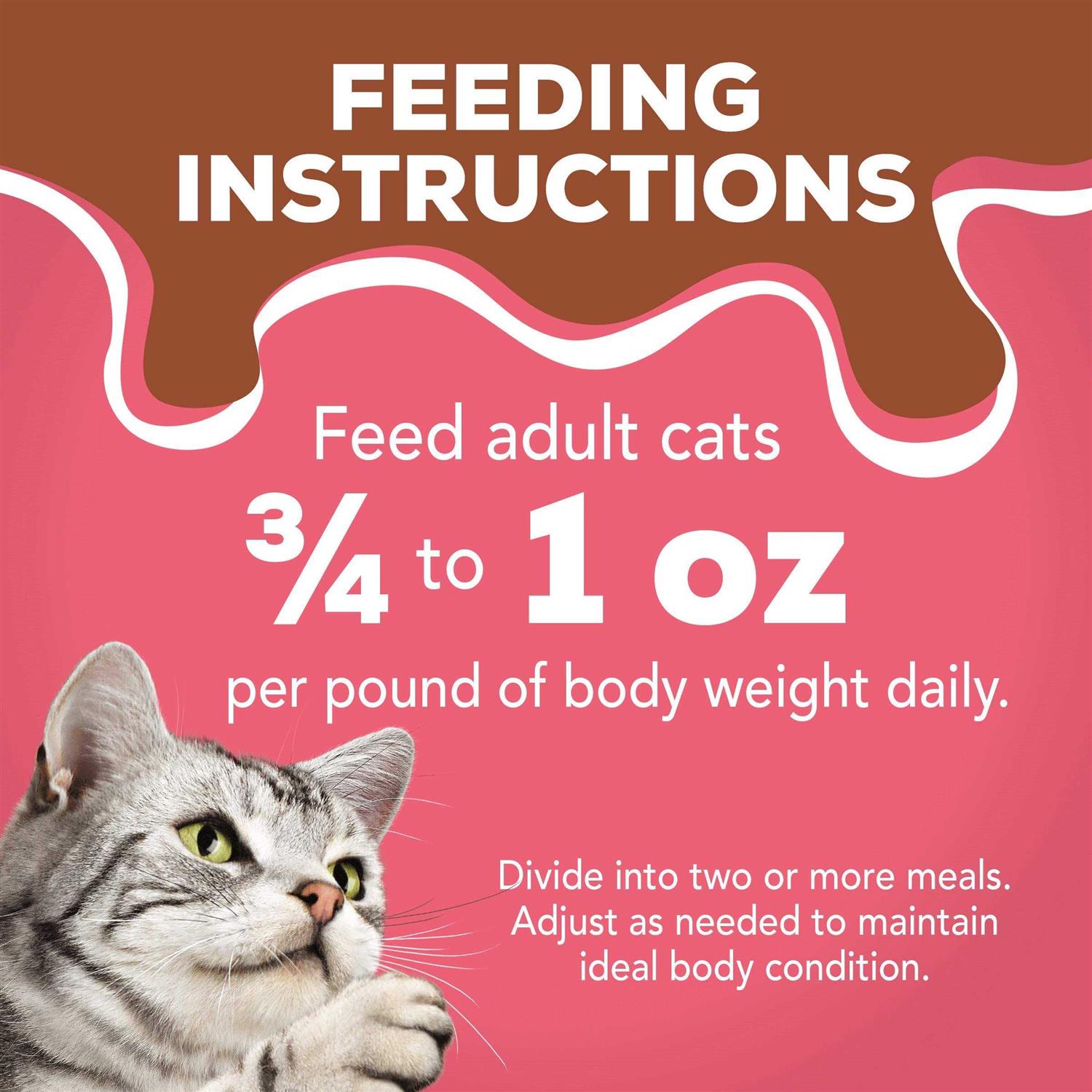 Purina Friskies Extra Gravy Pate Wet Cat Food Gravy - Pet Supplies online store