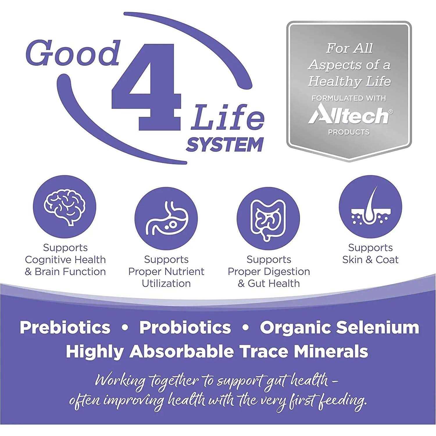 NutriSource Chicken Rice Small Medium-Breed Puppy Dry Dog Food - Pet Supplies online store