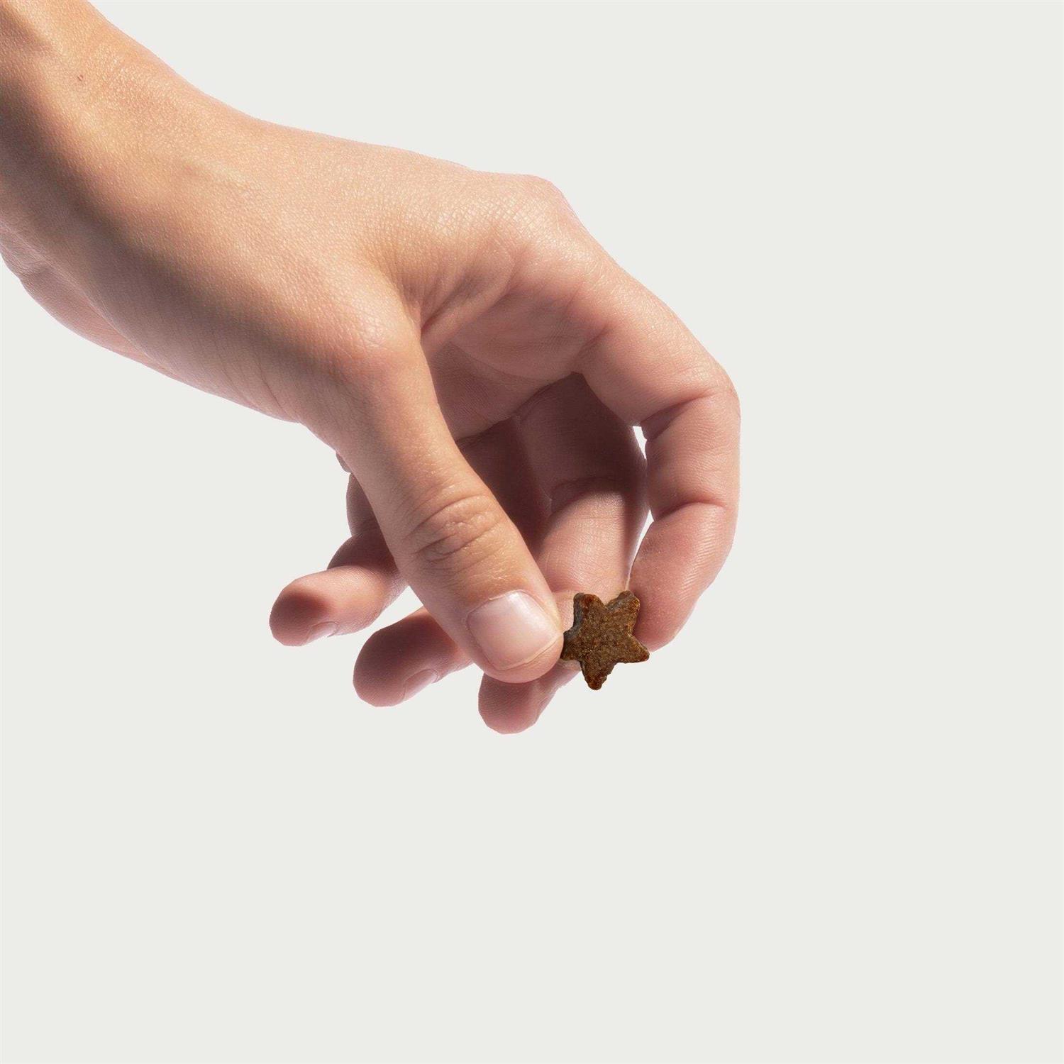 Jinx Beef Tiny Treats Natural Dog Training Treats - Pet Supplies online store