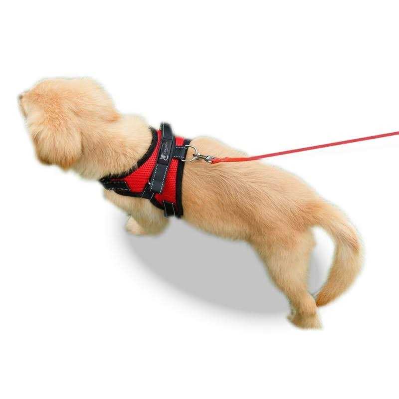 Copatchy No Pull Adjustable Reflective Dog Harness with Handle - Pet Supplies online store