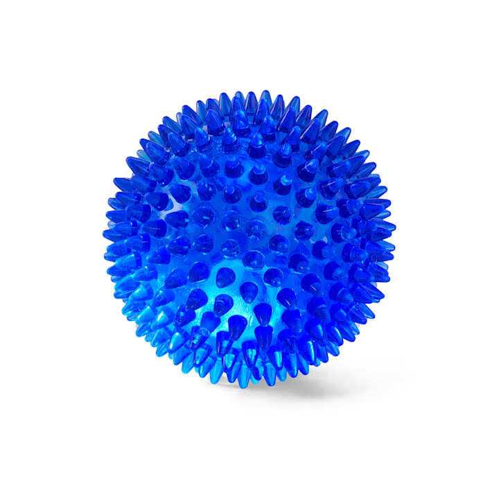 Leaps & Bounds Spiny Ball Dog Chew Toy - Pet Supplies online store