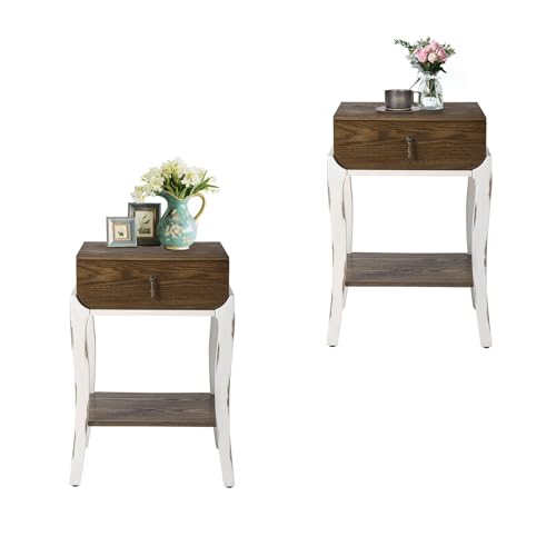 HOMPUS Modern Round End Table Set of 2 w Storage Shelf, 2-Tier Wood Nightstand w Walnut Wood Grain Finish, 2 Pieces Round Side Table Small Accent Table for Living Room Bedroom Brown