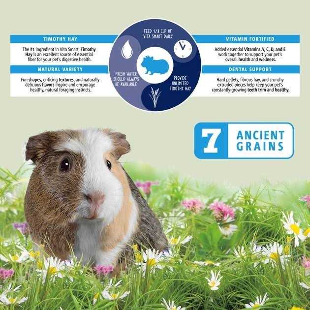 Vitakraft Vita Smart Blend Guinea Pig Food - Pet Supplies online store