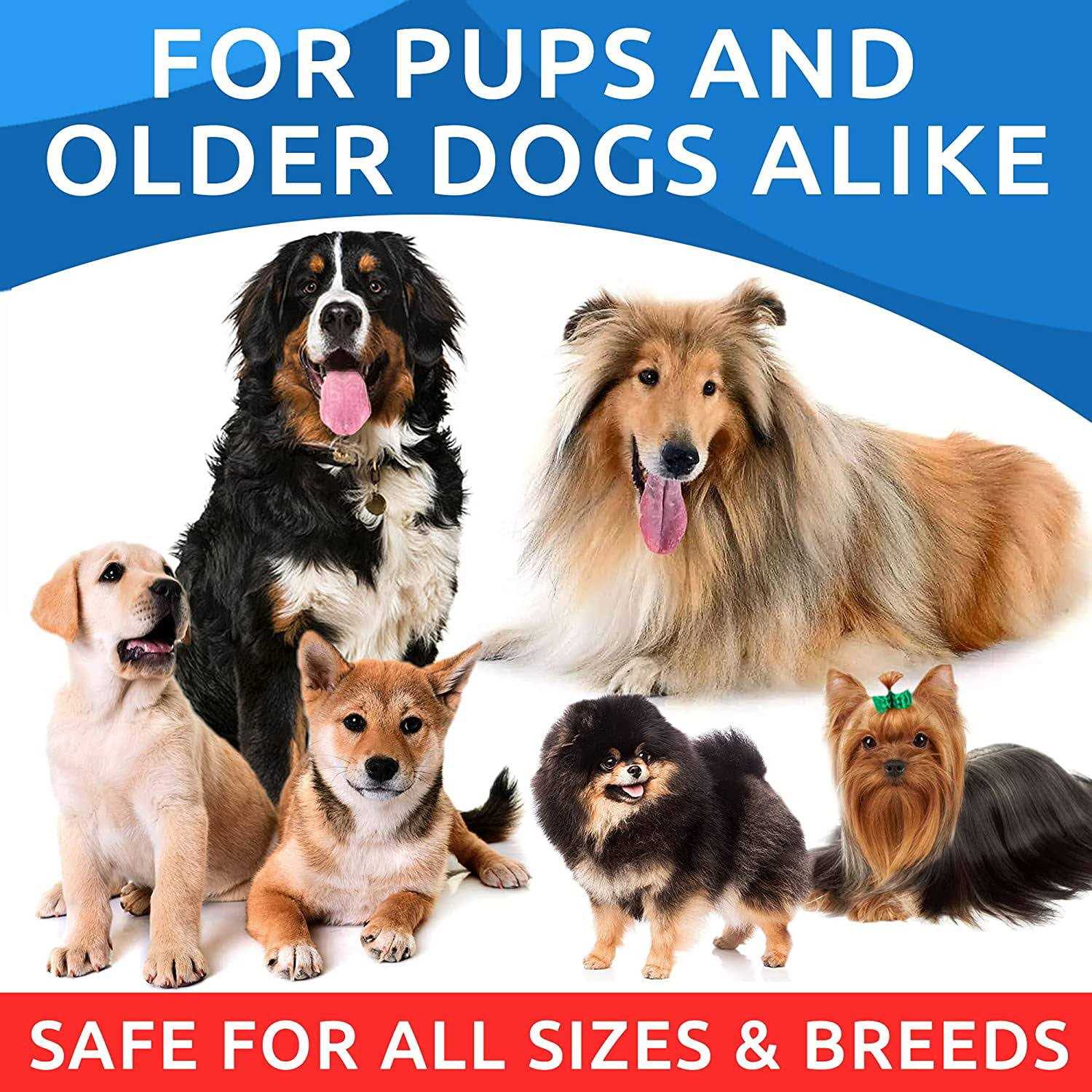 Bark&Spark Omega Dogs Oil - Pet Supplies online store