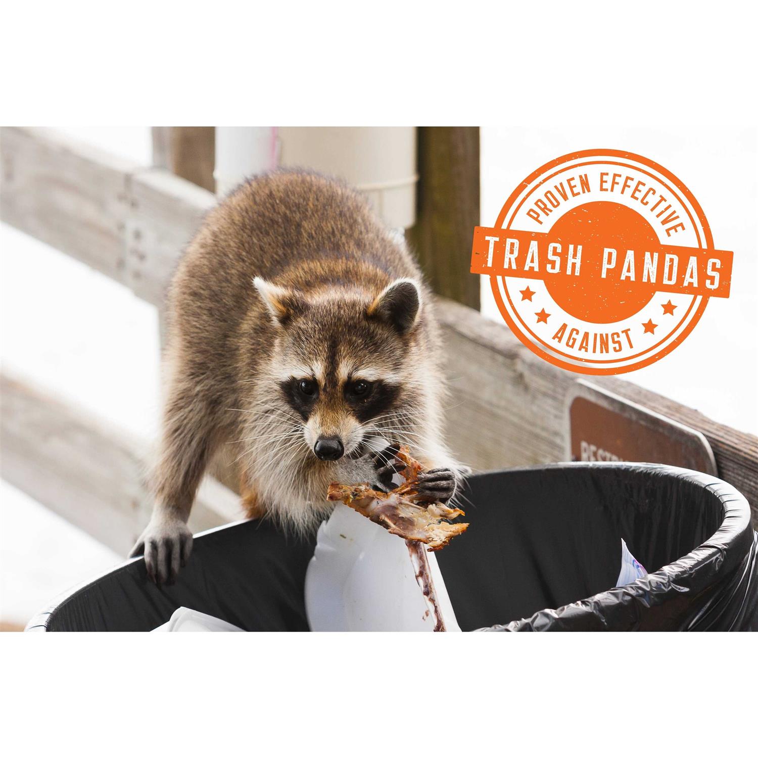 Zone Protects No Holes! Digging Dog Prevention Concentrate Bundle - Pet Supplies online store