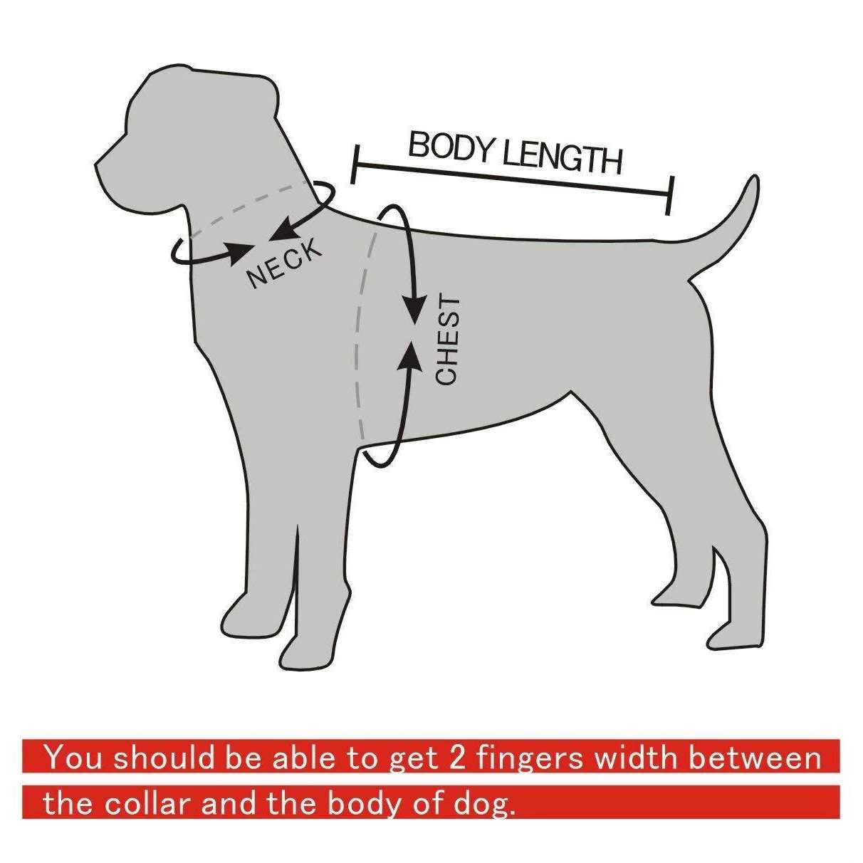 Berry Pet Black Leather Spikes Studded Medium & Large Dog Collar & Leash & Harness 3 Pcs Set for Pitbull Boxer - Pet Supplies online store