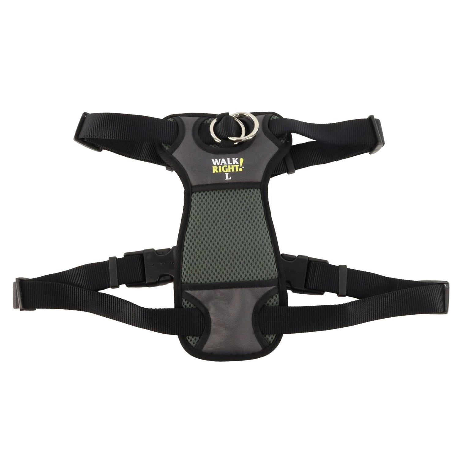 Coastal Pet Walk Right Padded Harness - Pet Supplies online store