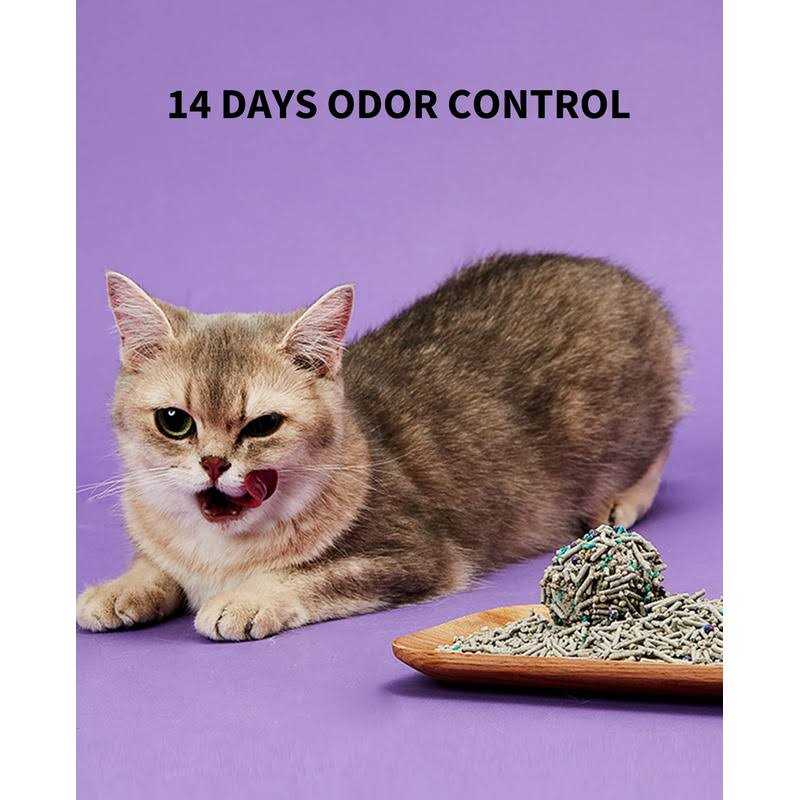 PETKIT everclean 5 in 1 Mixed Cat Litter,Strong Clumping Cat Litters,Odor Control and Unscented Ultra Absorbent Water flushab - Pet Supplies online store