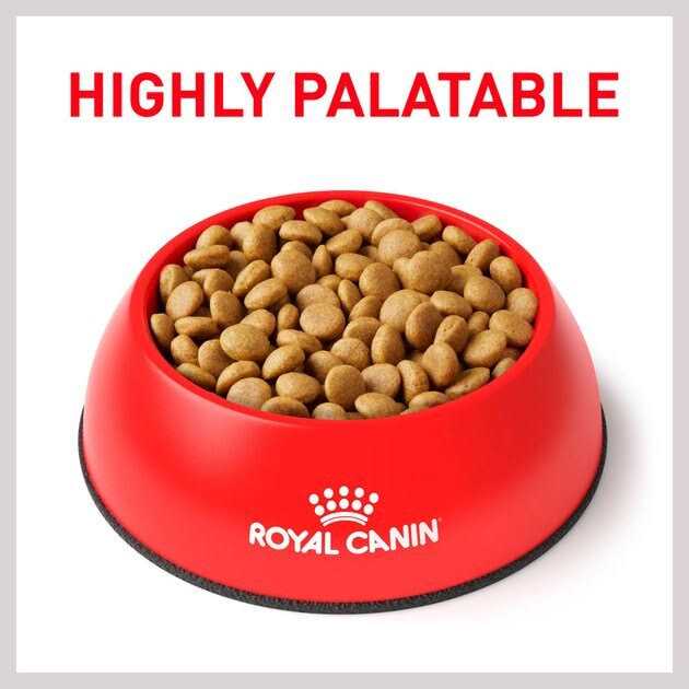 Royal Canin Veterinary Diet Canine Selected Protein Adult Dry Dog Food - Pet Supplies online store