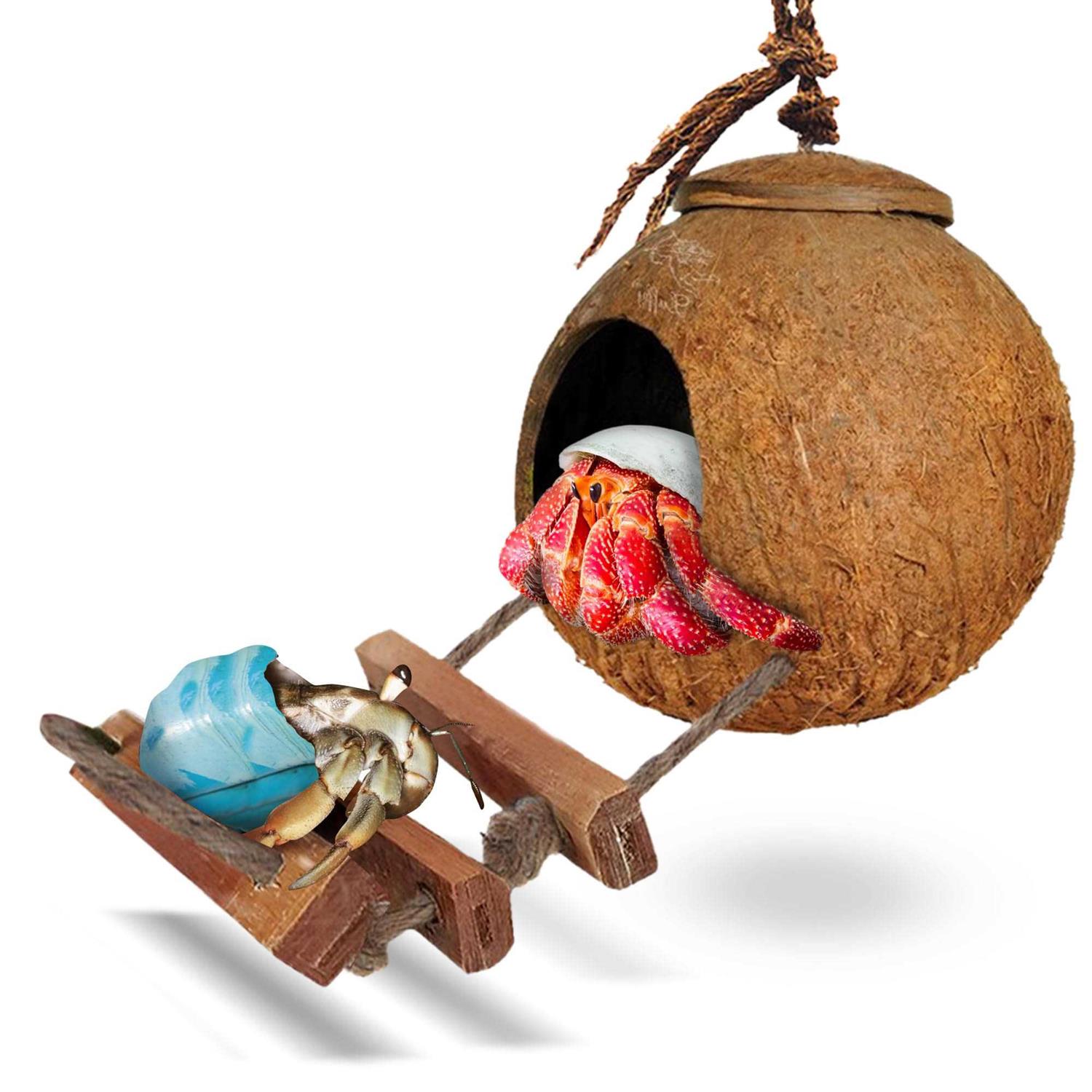 SunGrow Hermit Crab Coco Hut with Ladder - Pet Supplies online store