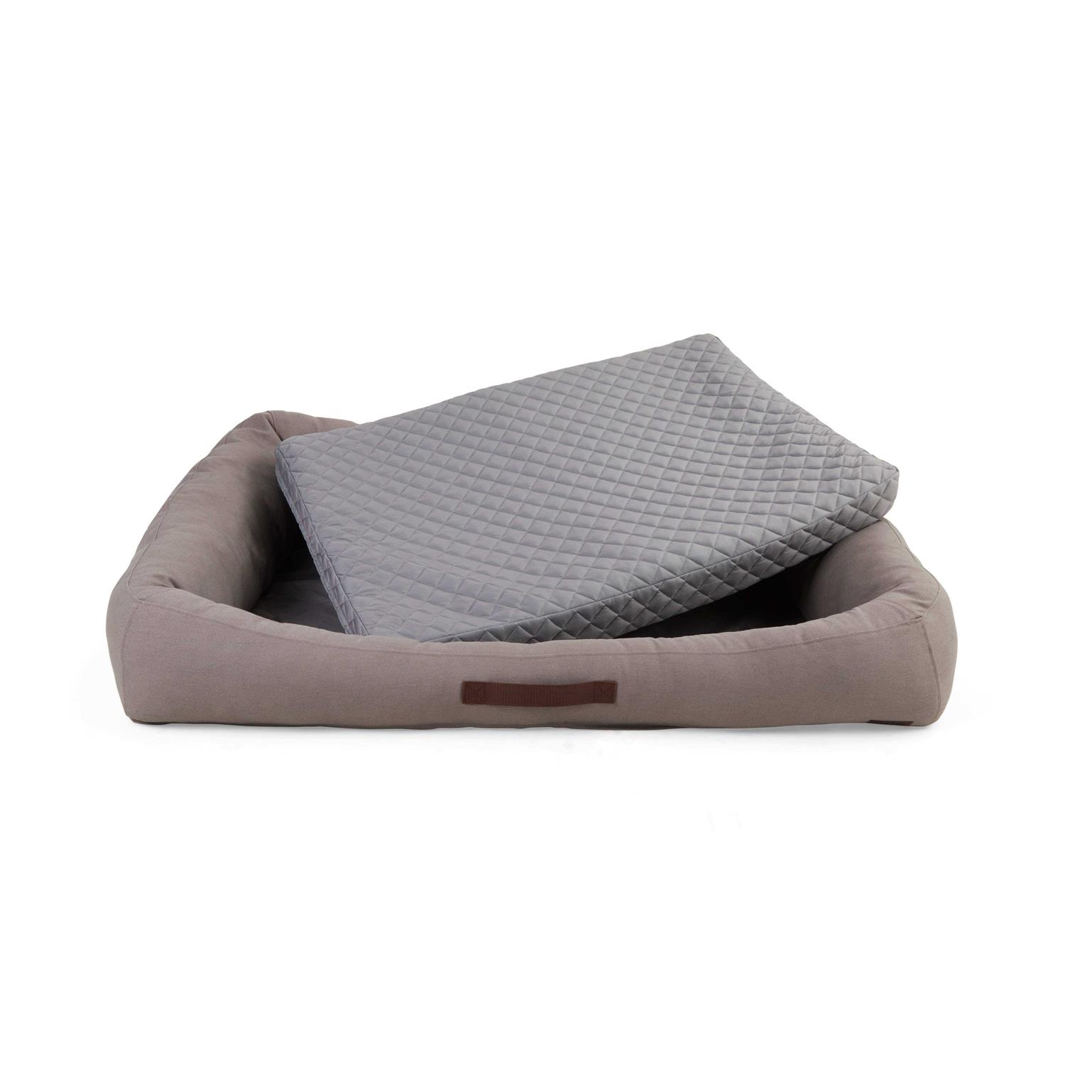 Reddy Seasonless Dog Bed - Pet Supplies online store