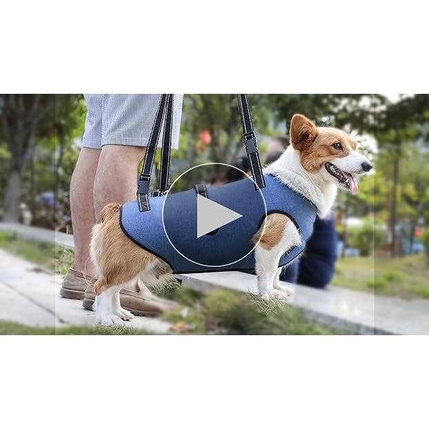 Coodeo Dog Lift Harness Support & Recovery Sling Pet Rehabilitation Lifts Vest Adjustable Breathable Straps for Old - Pet Supplies online store