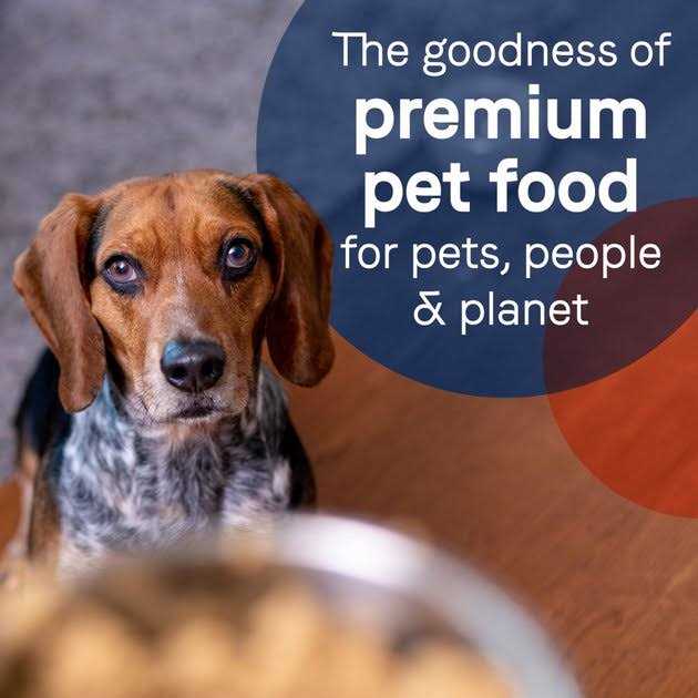 Canidae Grain-Free Pure Limited Ingredient Salmon & Sweet Potato Recipe Canned Dog Food - Pet Supplies online store