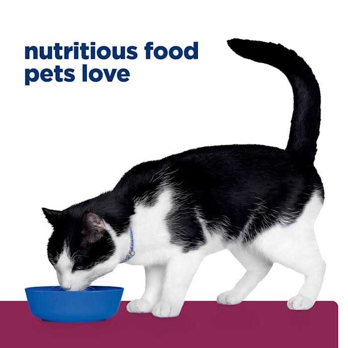 Hill's Prescription Diet Prescription Diet i/d Cat Nutrition - Pet Supplies online store