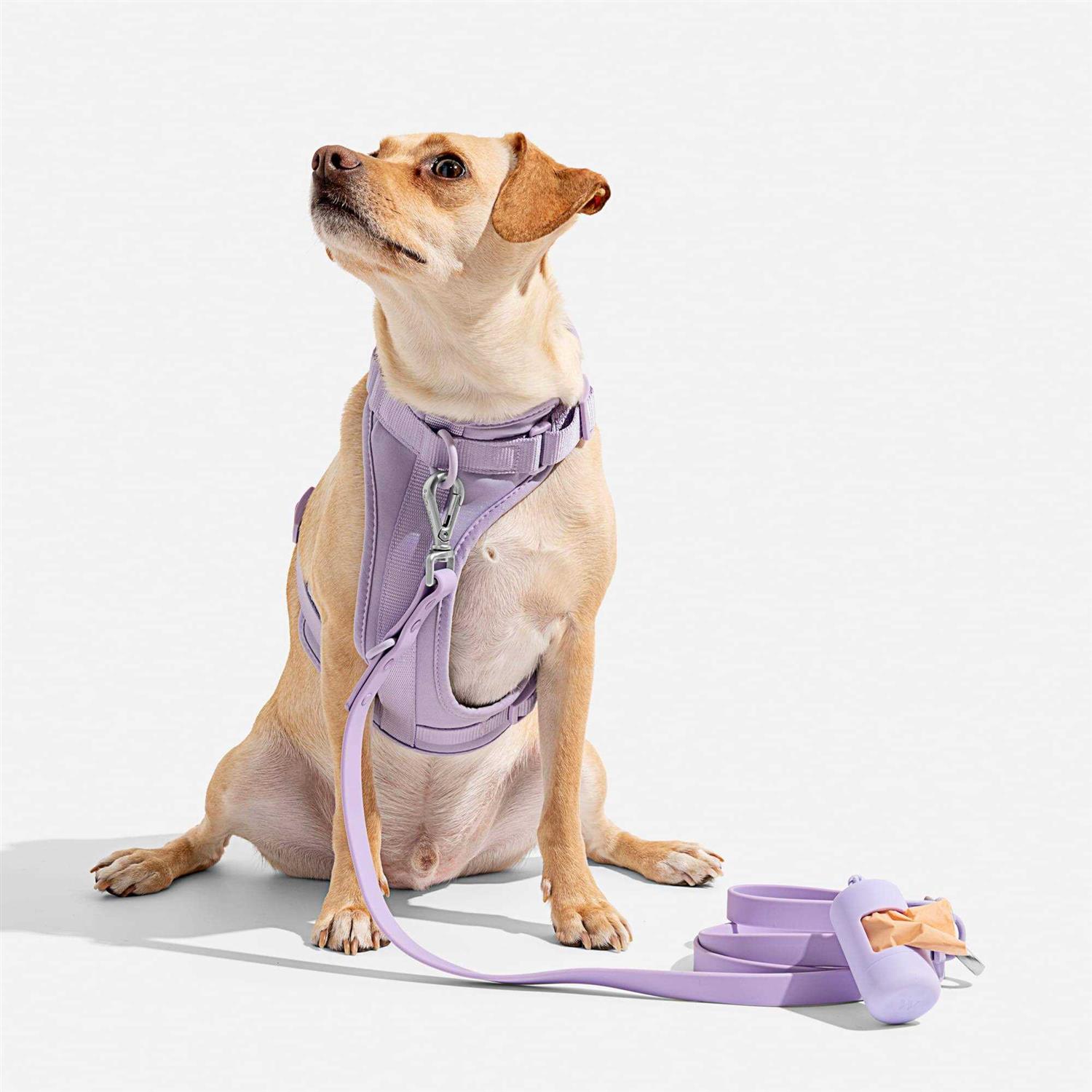 Wild One Dog Harness - Pet Supplies online store
