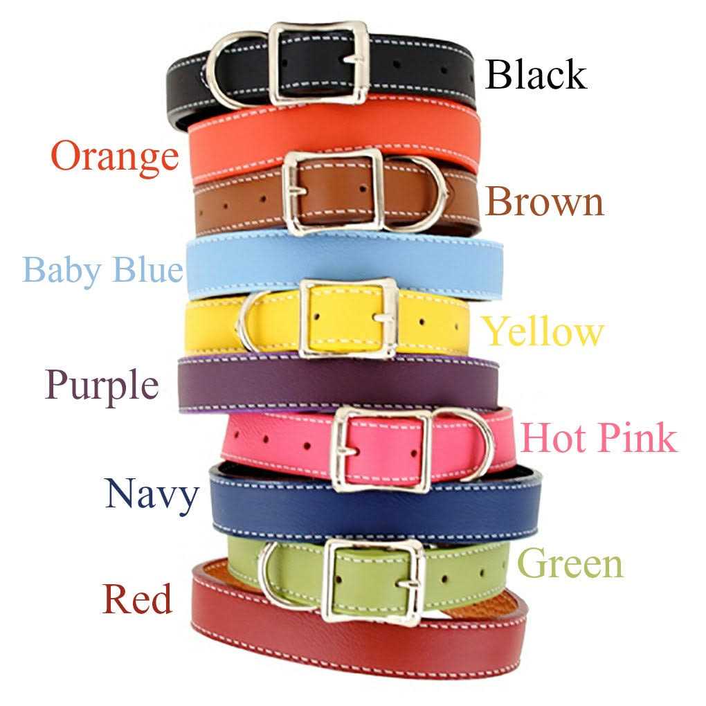Auburn Leather Dog Collar - Pet Supplies online store