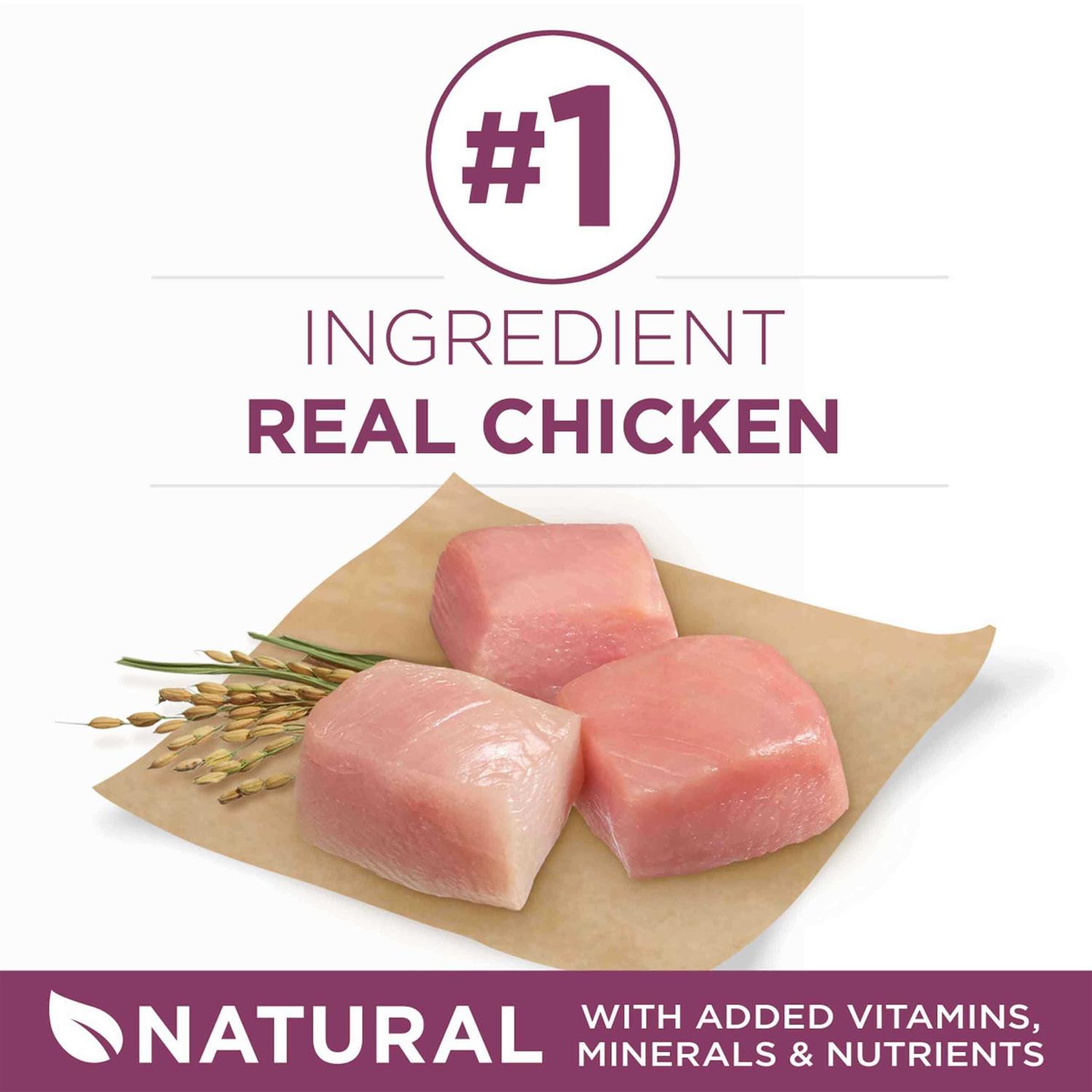 Purina ONE SmartBlend Healthy Puppy Formula Dry Dog Food - Pet Supplies online store