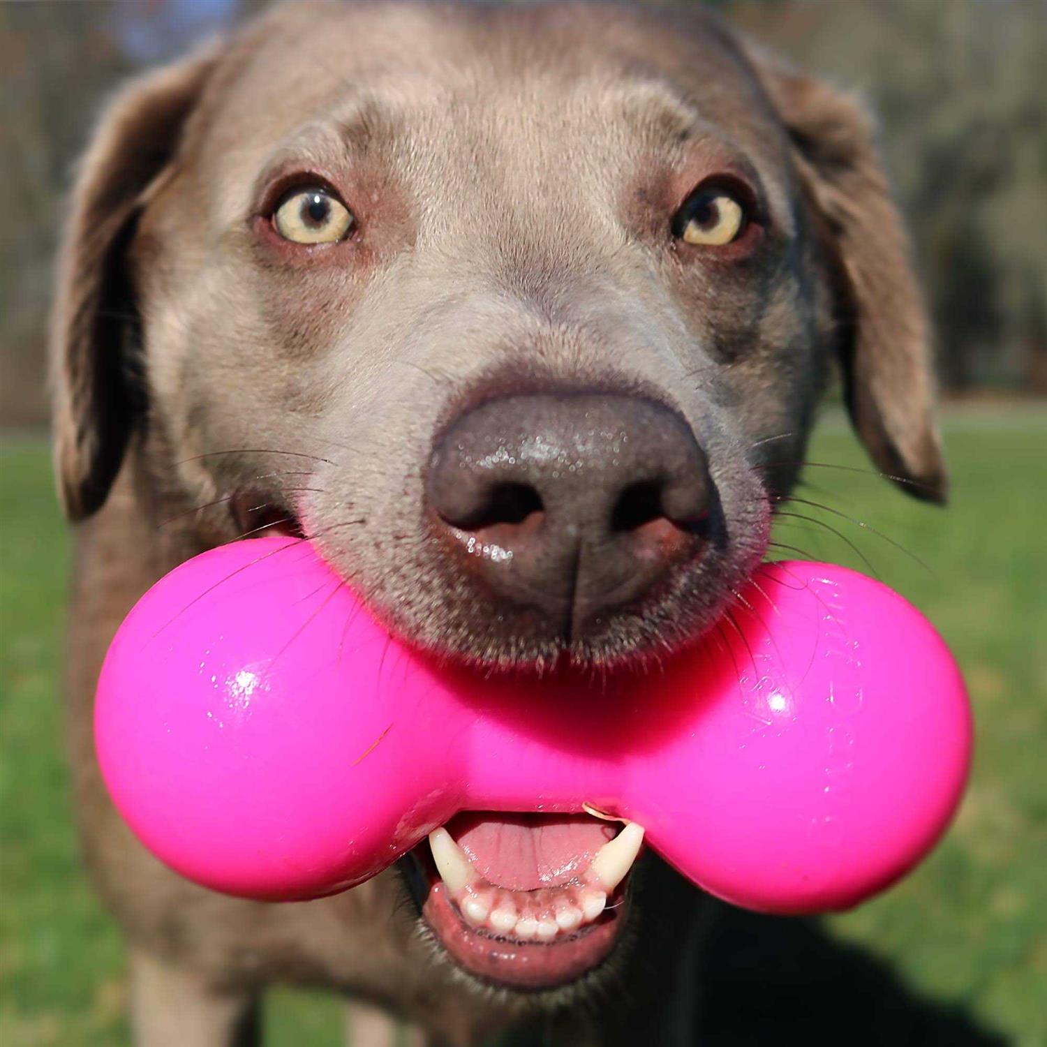 Ruff Dawg Big Dawg Dog Toy - Pet Supplies online store