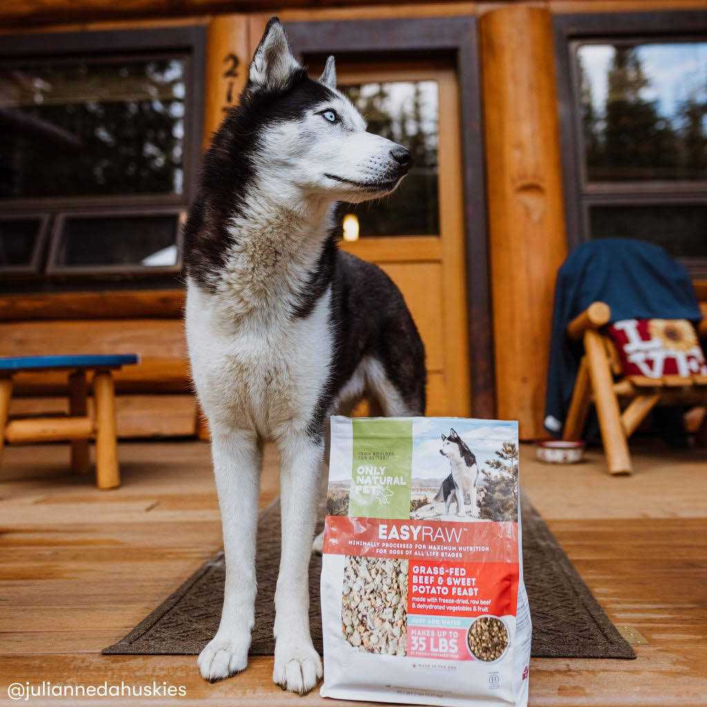 EasyRaw Grass-Fed Beef with Sweet Potato Feast Dehydrated Dog Food - Pet Supplies online store