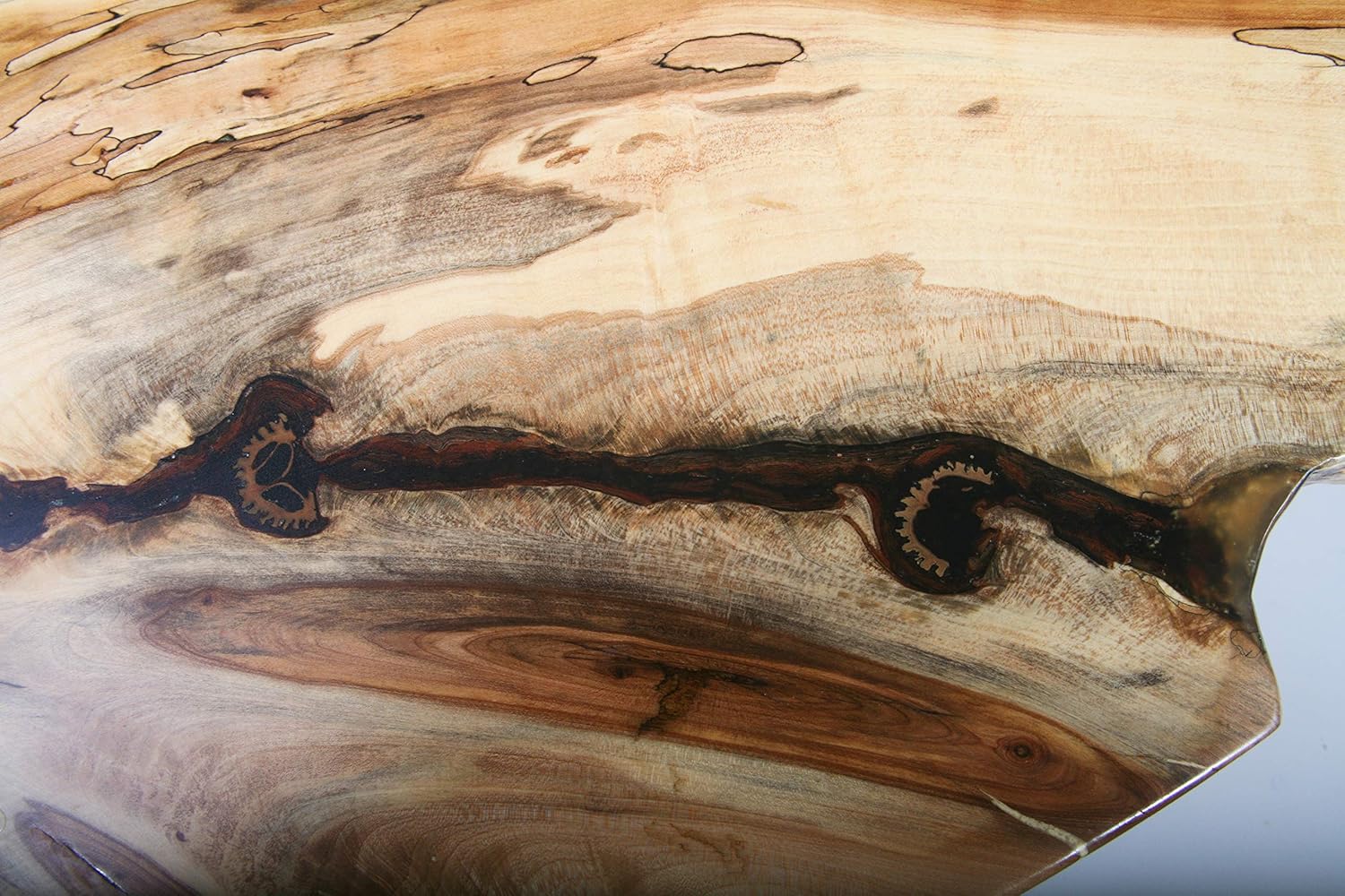 Maple Three-leg Table with Live Edge, and black walnut shells hidden inside