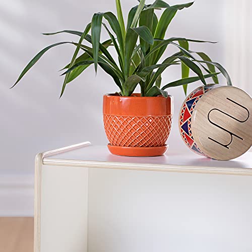 Guidecraft EdQ Two Shelf Open Storage 24'' Natural with 3 Fabric Bins: Wooden Multi-Purpose Bookcases and Toy Storage Organizer; Homeschool and Classroom Furniture