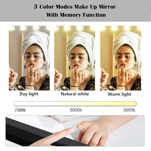 Makeup Vanity Mirror with Lights, 31.5