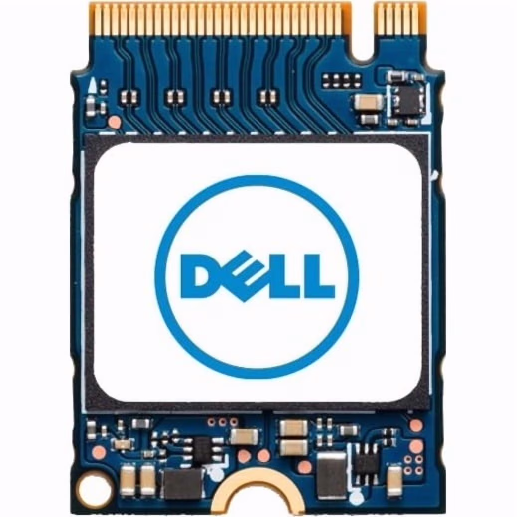 Dell 1 TB Rugged Solid State Drive - M.2 2230 Internal - PCI Express NVMe [PCI Express NVMe 4.0 x4] (snp223g43-1tb)