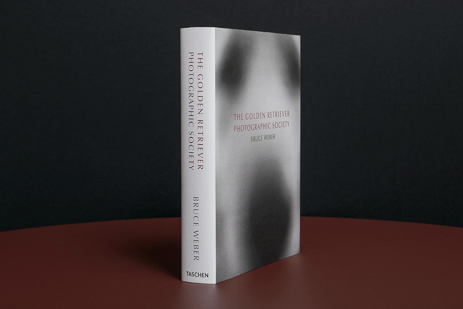 The Golden Retriever Photographic Society