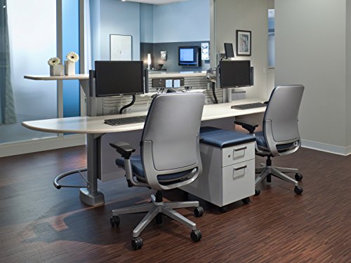Steelcase Amia Task Chair: Platinum Frame/Polished Aluminum Base - 4 Way Adjustable Arms - Standard Carpet Casters