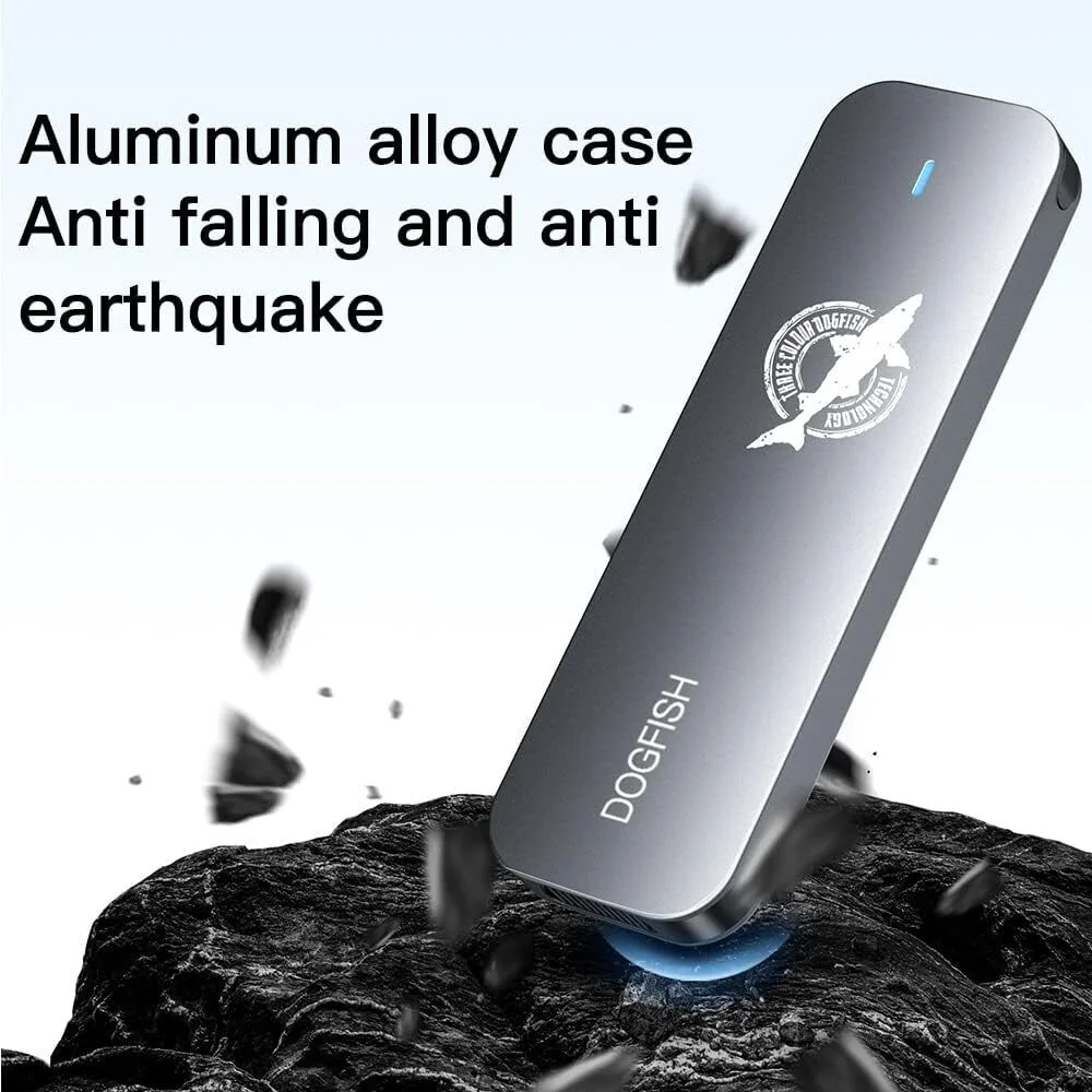 Dogfish Portable SSD 256GB for PC, Laptop, Computer Storage - Silver Aluminum, USB 3.1 Type C, Mini Solid State Disk