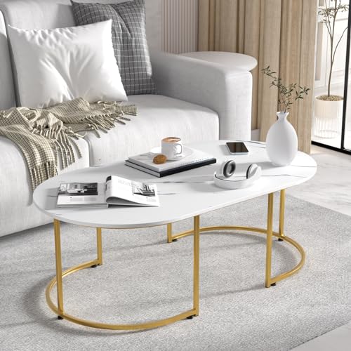 Coffee Table Tea Table for Living Room Oval Center Table Sit on The Floor, Marble Tabletop Golden Frame Modern Simple Coffee Tables Cocktail Tables for Home Office 39.3