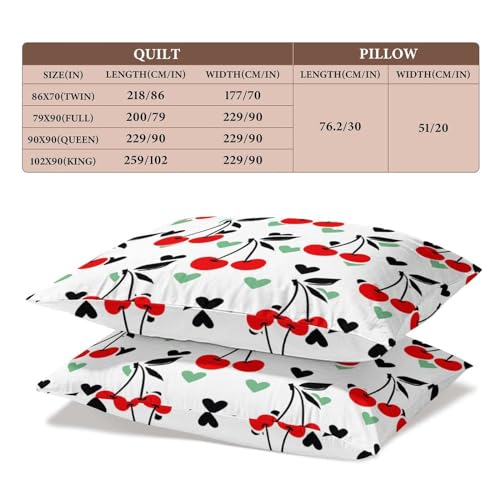 Delerain Comforter Set Queen Size, Kawaii Corgi 3-Piece Bedding Set for Women Men Modern Soft Microfiber Bedroom Set Room Decor, 1 Duvet Cover + 2 Pillowcases