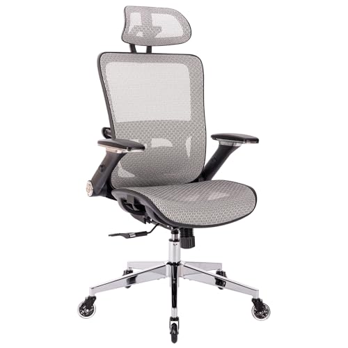 INMOZATA Office Desk Chair Adjustable Mesh Ergonomic Office Chair High Back Computer Task Chair with Wheels Lumbar Support,Black