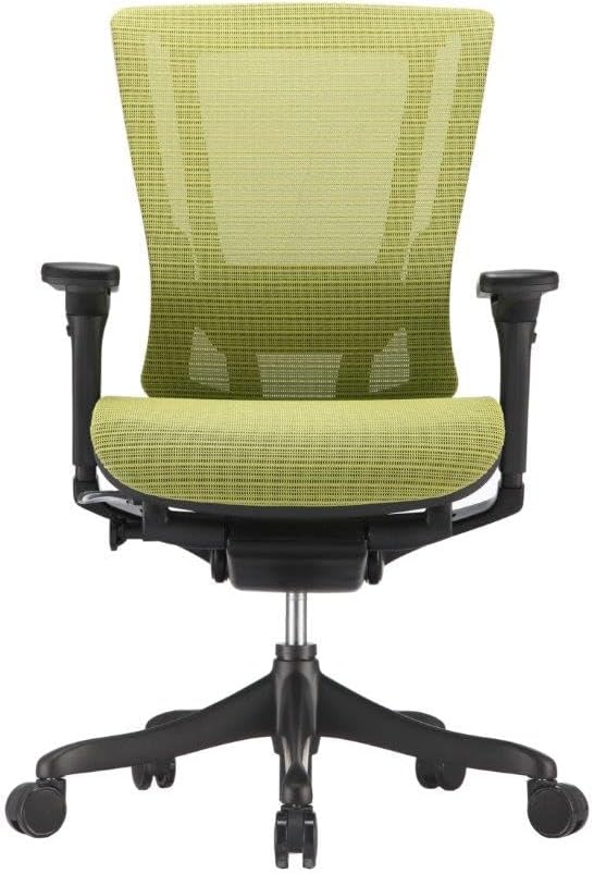 Raynor Nefil Elite Smart Motion Mesh Chair