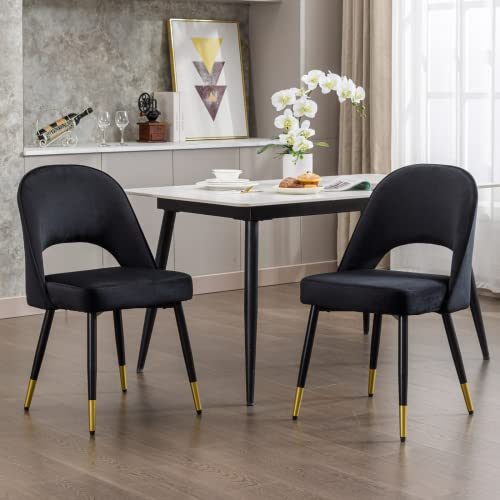 LukeAlon Classic Velvet Dining Chairs Set of 4, Upholstered Open Back Kitchen Chairs with Metal Legs Armless Side Chairs Mid Century Dinner Chairs for Dining Room, Beige