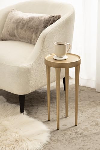 Kate and Laurel Rava Modern Round Metal Drink Table with Sandcast Aluminum Construction for Indoor Plant Stand, 10x10x21, Gold