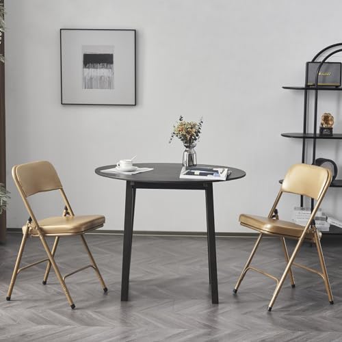 2 Pack Metal Folding Chairs with Padded Seat and Back, Portable Stackable Commercial Seat, Light Weight Folding Chairs for Home Office Indoor Outdoor Events Party Wedding