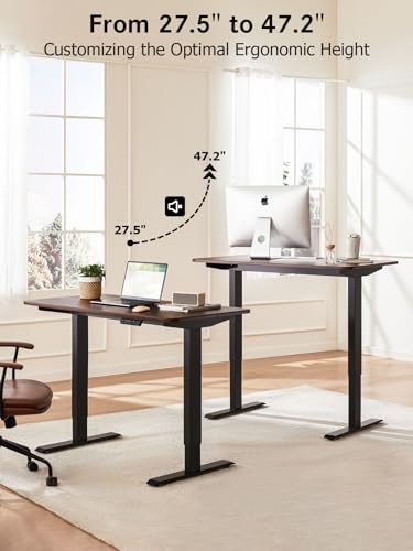 KINGSMITH Electric Height Adjustable Memory Standing Desk, 48 x 24 inch Whole-Piece Desktop Dual Motors Stand up Home Office Ergonomic Workstation (Dark Gray)