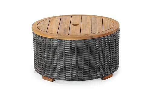 SAFAVIEH Couture Collection Anguilla Natural Brown Faux Wicker Indoor/Outdoor Storage Coffee Table (Fully Assembled)