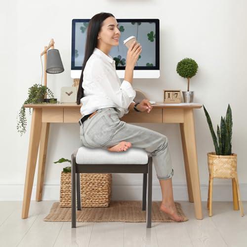 HOUCHICS Vanity Stool Ottoman Foot Stool, 17