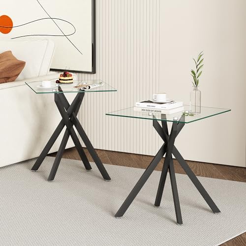 IANIYA Modern Glass End Tables Set of 2 - Stylish and Durable for Any Space (End Table x2, Silver)