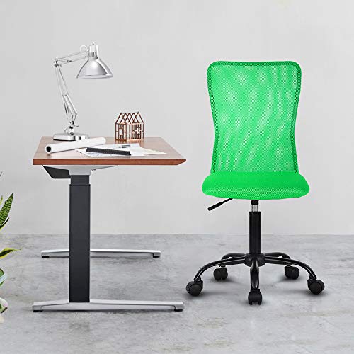 Office Chair Desk Chair Computer Chair with Lumbar Support Ergonomic Mid Back Mesh Adjustable Height Swivel Chair Armless Modern Task Executive Chair for Women Men Adult,Grey