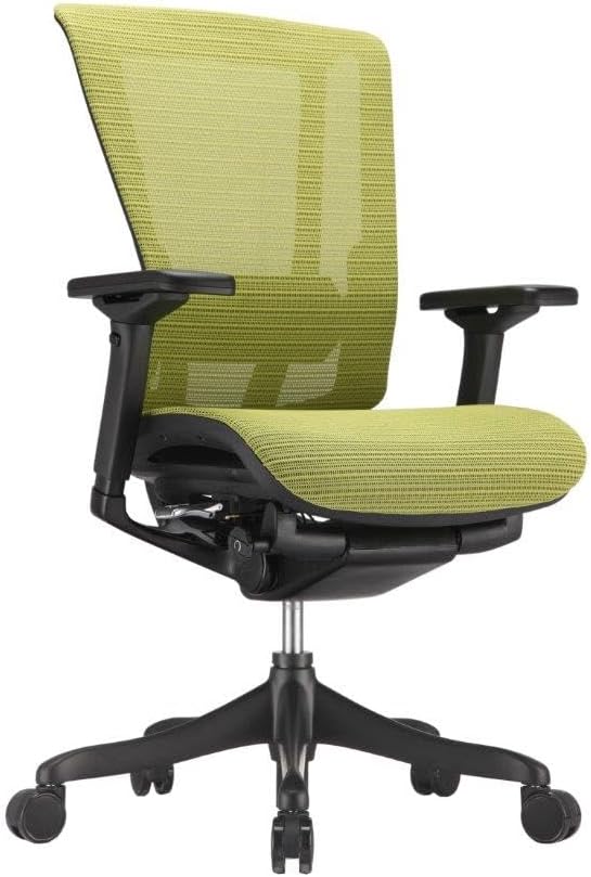 Raynor Nefil Elite Smart Motion Mesh Chair