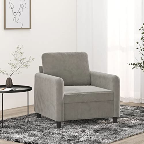 Sofas & Couches Sofa Chair Light Gray 23.6