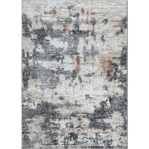 Washable Area Rugs 8x10, 8x10 Area Rugs for Living Room, Non Slip Rug Low Pile Area Rug for Living Room Dining Room Bedroom